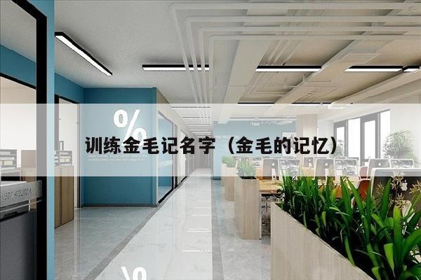 训练金毛记名字（金毛的记忆）