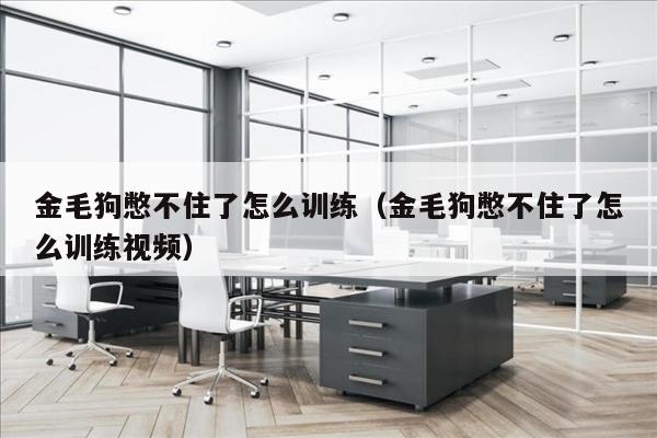 金毛狗憋不住了怎么训练（金毛狗憋不住了怎么训练视频）