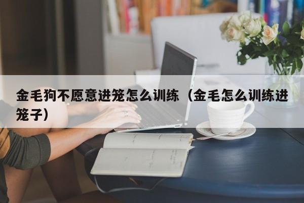 金毛狗不愿意进笼怎么训练（金毛怎么训练进笼子）