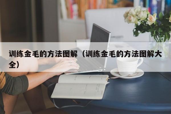 训练金毛的方法图解（训练金毛的方法图解大全）