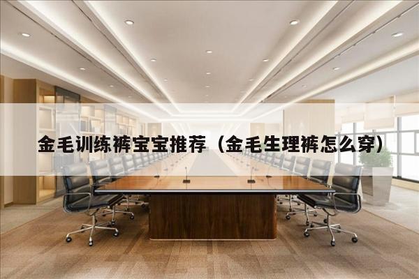 金毛训练裤宝宝推荐（金毛生理裤怎么穿）