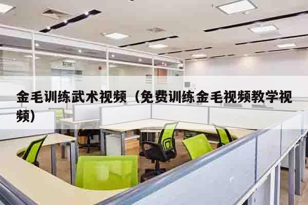金毛训练武术视频（免费训练金毛视频教学视频）