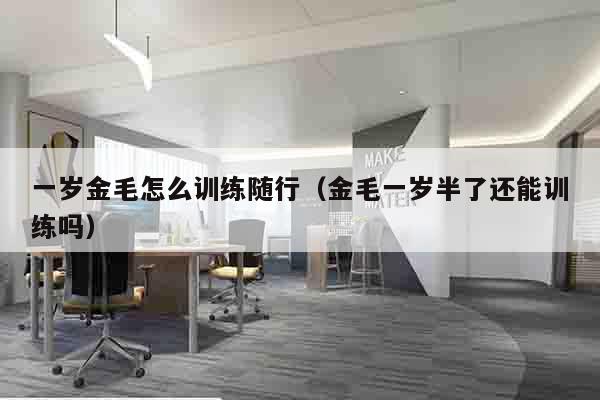 一岁金毛怎么训练随行（金毛一岁半了还能训练吗）