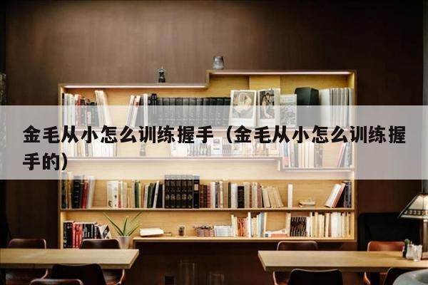 金毛从小怎么训练握手（金毛从小怎么训练握手的）