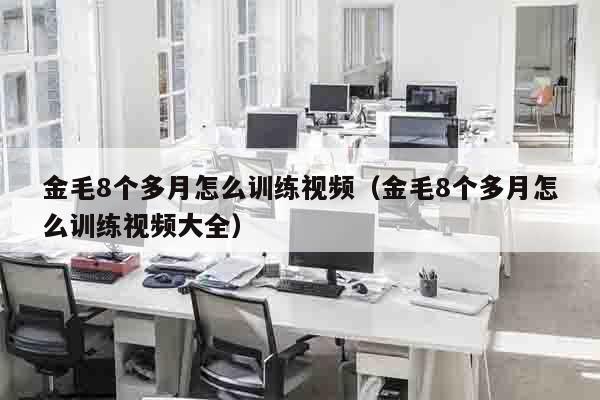 金毛8个多月怎么训练视频（金毛8个多月怎么训练视频大全）