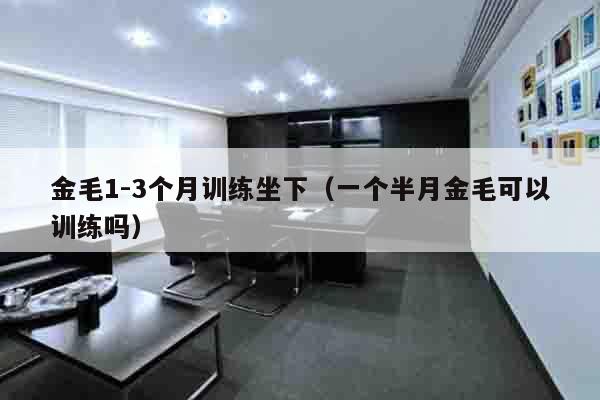 金毛1-3个月训练坐下（一个半月金毛可以训练吗）