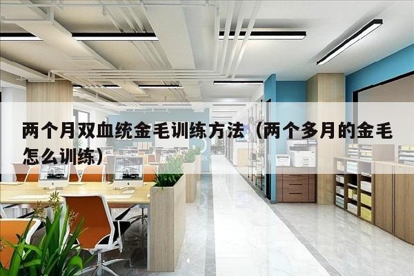 两个月双血统金毛训练方法（两个多月的金毛怎么训练）