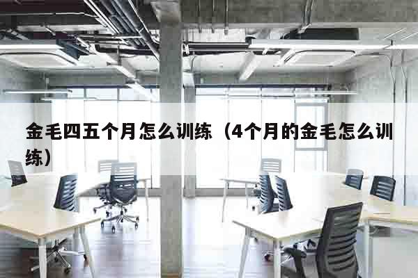 金毛四五个月怎么训练（4个月的金毛怎么训练）