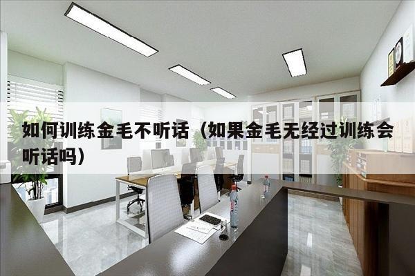 如何训练金毛不听话（如果金毛无经过训练会听话吗）