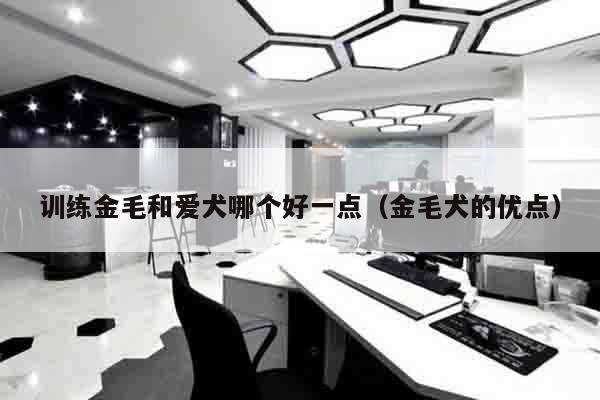 训练金毛和爱犬哪个好一点（金毛犬的优点）