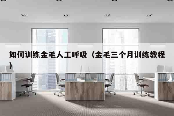 如何训练金毛人工呼吸（金毛三个月训练教程）