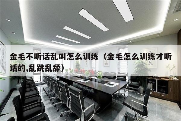金毛不听话乱叫怎么训练（金毛怎么训练才听话的,乱跳乱舔）