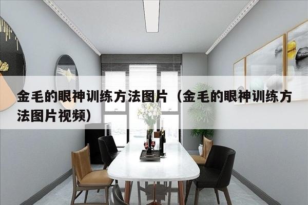 金毛的眼神训练方法图片（金毛的眼神训练方法图片视频）
