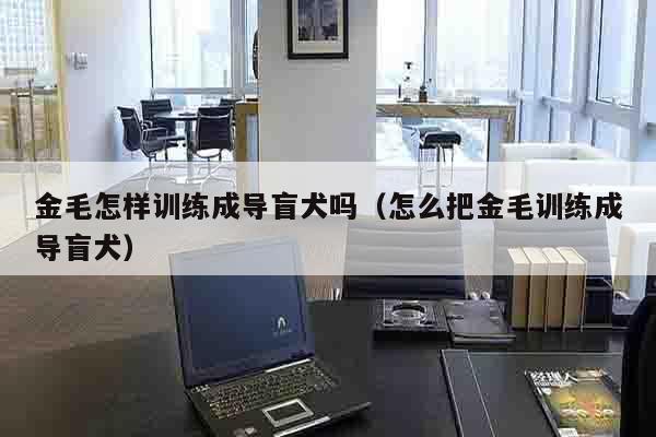 金毛怎样训练成导盲犬吗（怎么把金毛训练成导盲犬）
