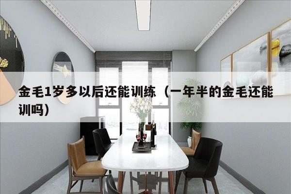 金毛1岁多以后还能训练（一年半的金毛还能训吗）