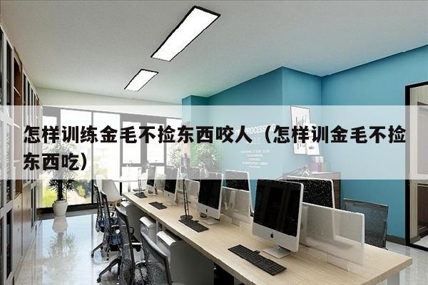 怎样训练金毛不捡东西咬人（怎样训金毛不捡东西吃）