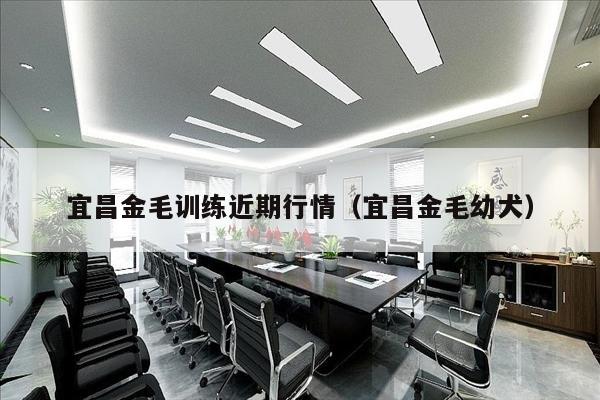 宜昌金毛训练近期行情（宜昌金毛幼犬）