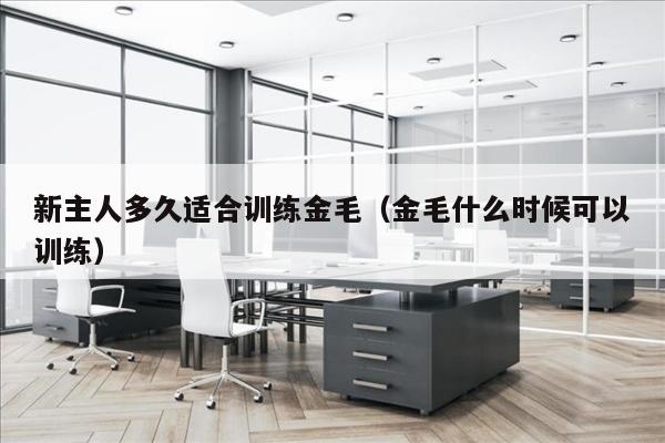 新主人多久适合训练金毛（金毛什么时候可以训练）