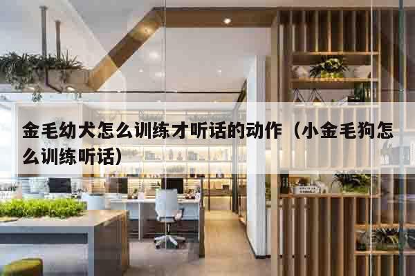 金毛幼犬怎么训练才听话的动作（小金毛狗怎么训练听话）