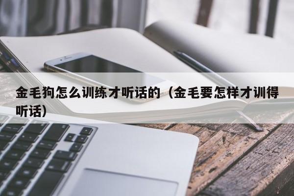 金毛狗怎么训练才听话的（金毛要怎样才训得听话）