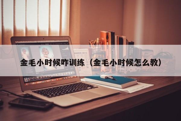 金毛小时候咋训练（金毛小时候怎么教）
