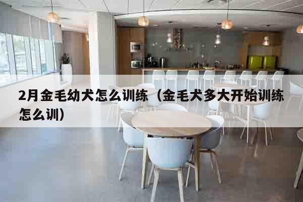 2月金毛幼犬怎么训练（金毛犬多大开始训练怎么训）