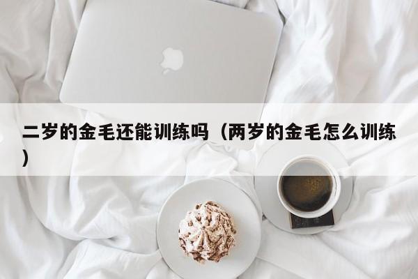 二岁的金毛还能训练吗（两岁的金毛怎么训练）