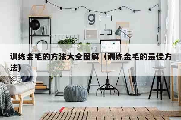 训练金毛的方法大全图解（训练金毛的最佳方法）