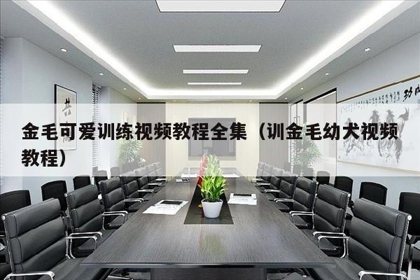 金毛可爱训练视频教程全集（训金毛幼犬视频教程）