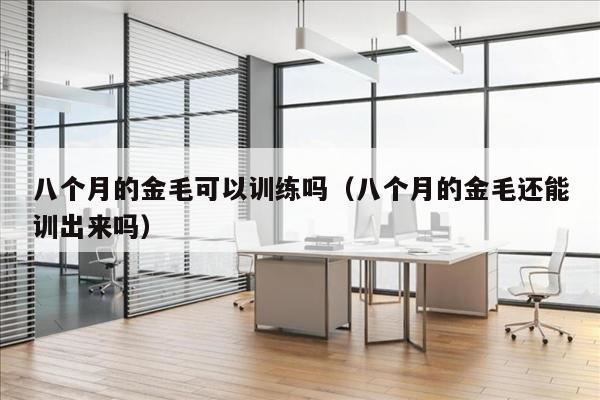 八个月的金毛可以训练吗（八个月的金毛还能训出来吗）