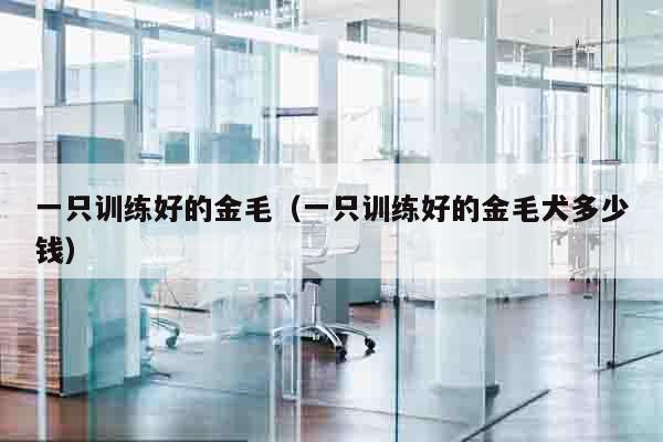 一只训练好的金毛（一只训练好的金毛犬多少钱）