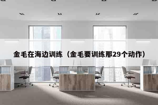 金毛在海边训练（金毛要训练那29个动作）