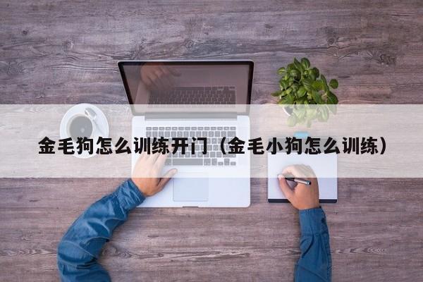 金毛狗怎么训练开门（金毛小狗怎么训练）