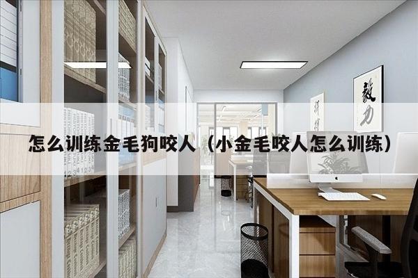 怎么训练金毛狗咬人（小金毛咬人怎么训练）