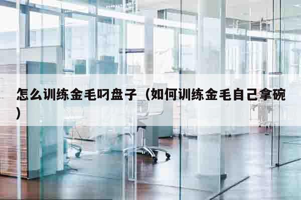 怎么训练金毛叼盘子（如何训练金毛自己拿碗）