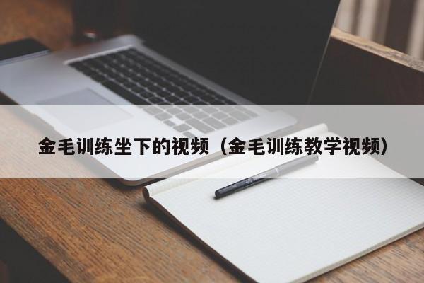 金毛训练坐下的视频（金毛训练教学视频）