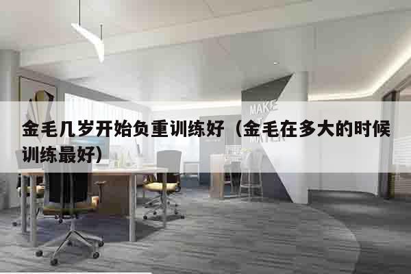 金毛几岁开始负重训练好（金毛在多大的时候训练最好）