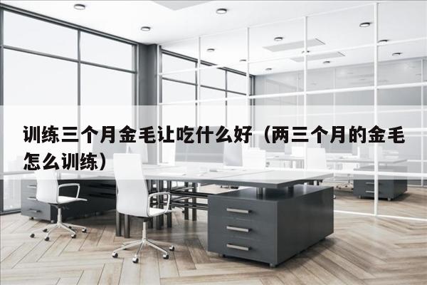训练三个月金毛让吃什么好（两三个月的金毛怎么训练）