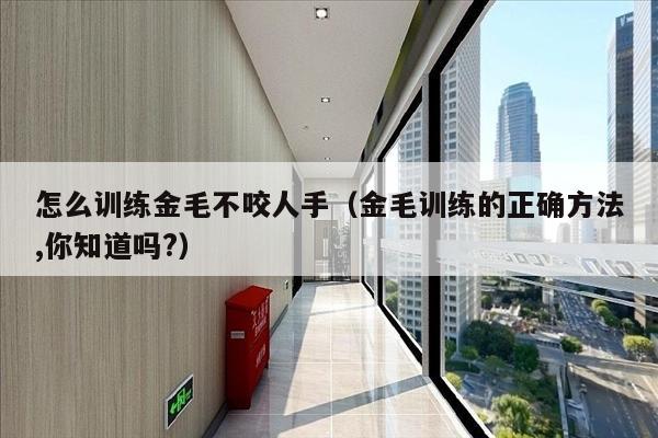 怎么训练金毛不咬人手（金毛训练的正确方法,你知道吗?）