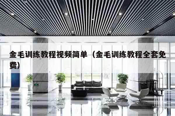 金毛训练教程视频简单（金毛训练教程全套免费）