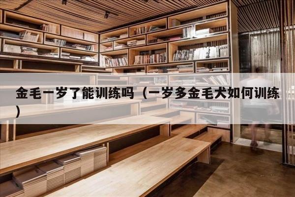 金毛一岁了能训练吗（一岁多金毛犬如何训练）