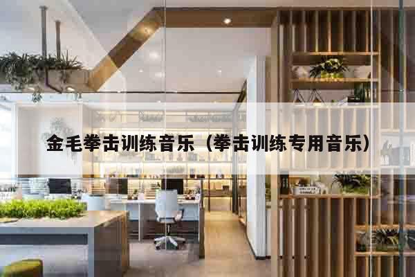 金毛拳击训练音乐（拳击训练专用音乐）
