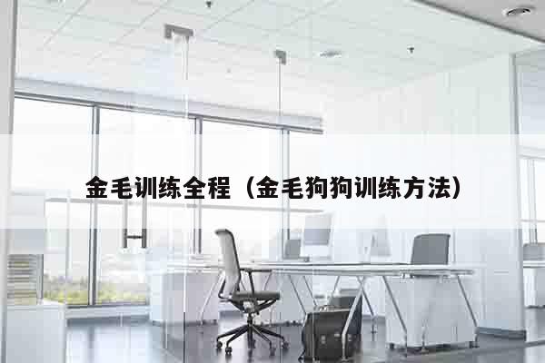 金毛训练全程（金毛狗狗训练方法）