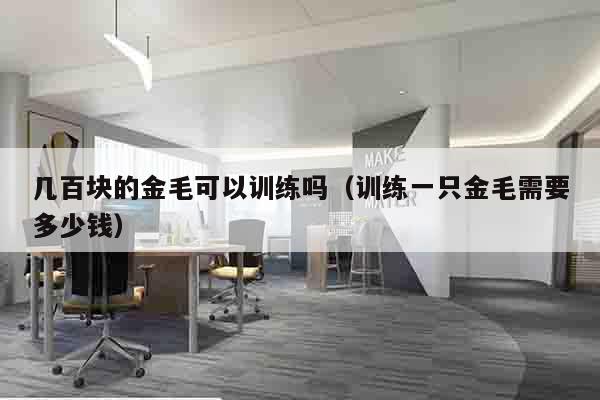 几百块的金毛可以训练吗（训练一只金毛需要多少钱）