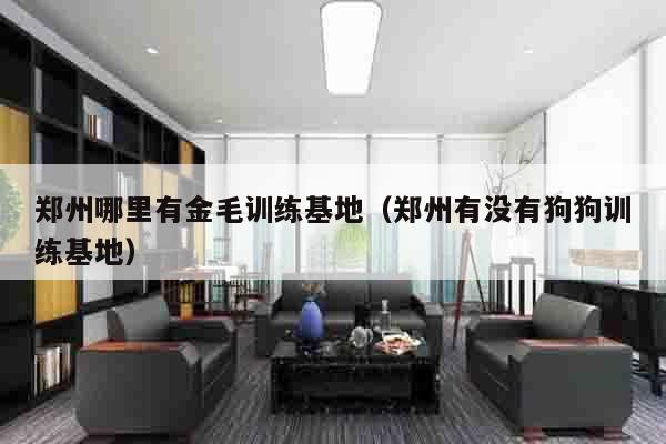 郑州哪里有金毛训练基地（郑州有没有狗狗训练基地）