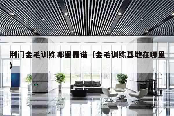 荆门金毛训练哪里靠谱（金毛训练基地在哪里）