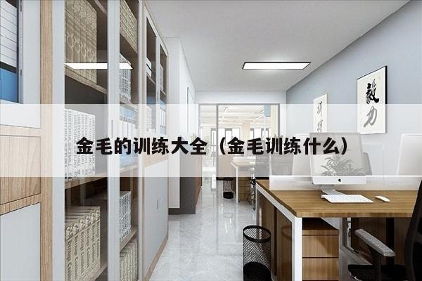 金毛的训练大全（金毛训练什么）