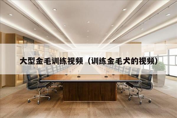 大型金毛训练视频（训练金毛犬的视频）