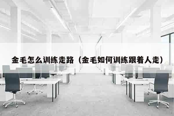 金毛怎么训练走路（金毛如何训练跟着人走）