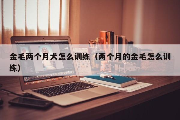 金毛两个月犬怎么训练（两个月的金毛怎么训练）